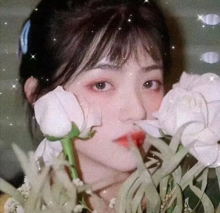 夏日春晖