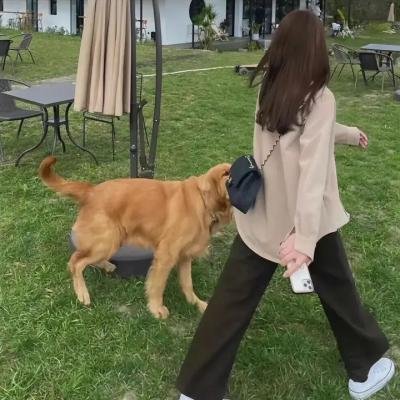 百合花开